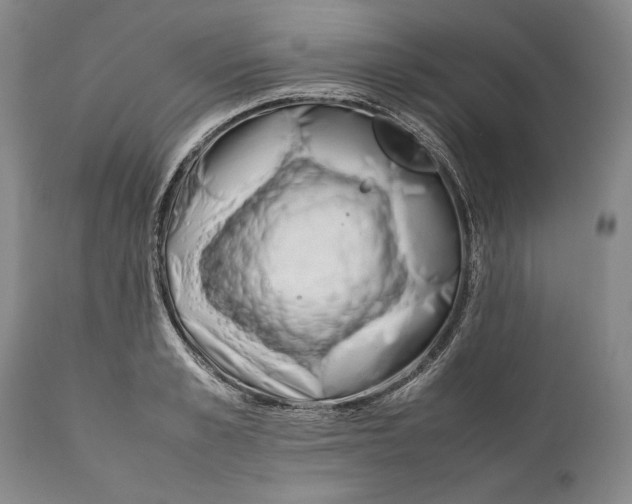 X0000112370989200909101317