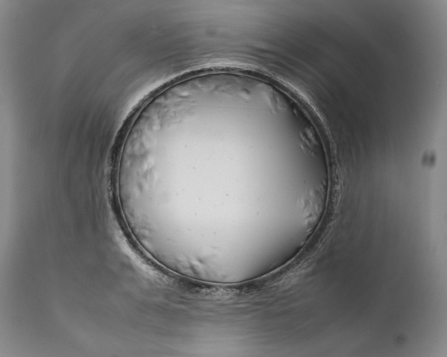 X0000112370991200909101317