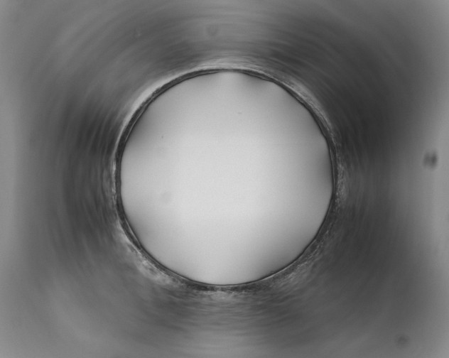 X0000112370996200909101317