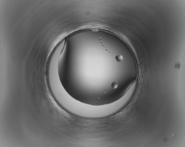 X0000112370997200909101317