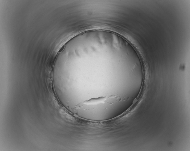 X0000112371001200909101317