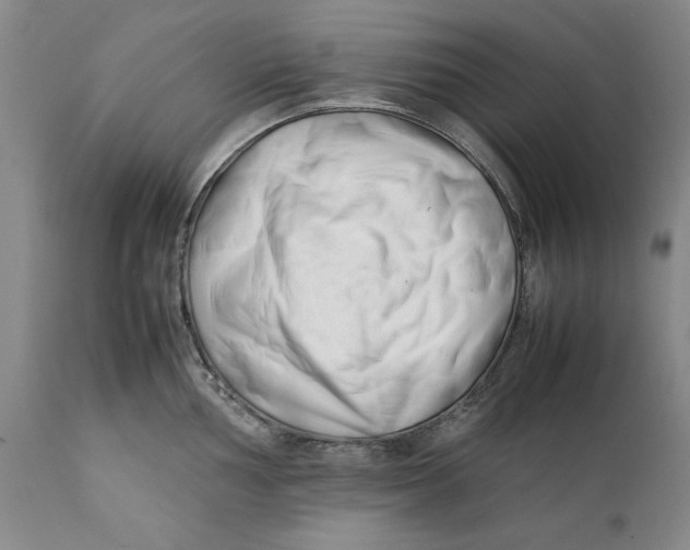 X0000112371002200909101317