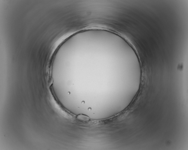 X0000112371003200909101317
