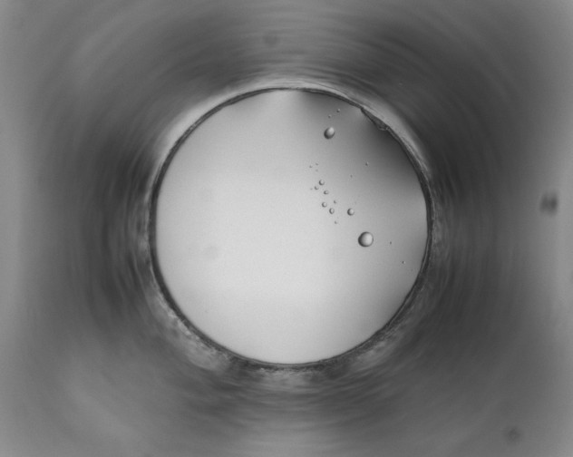 X0000112371004200909101317