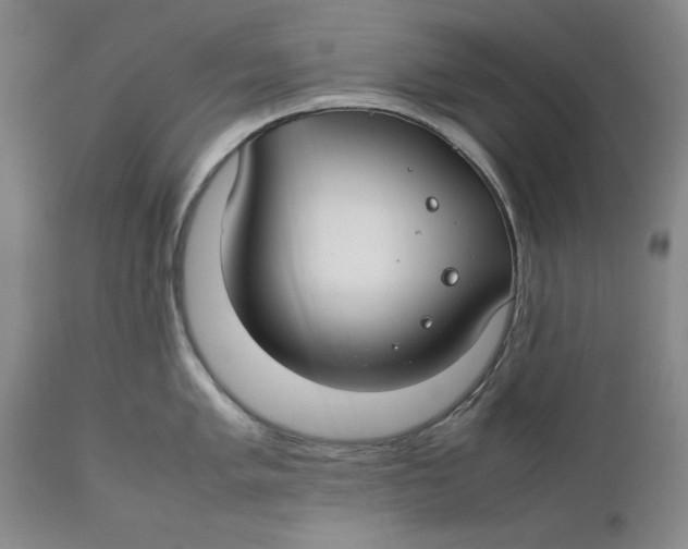 X0000112371005200909101317