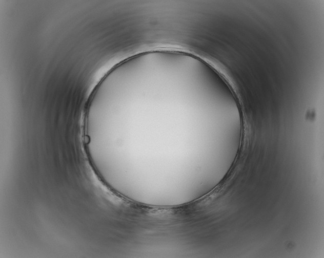 X0000112371006200909101317
