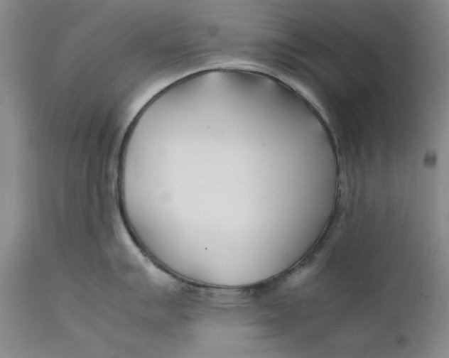 X0000112371007200909101317
