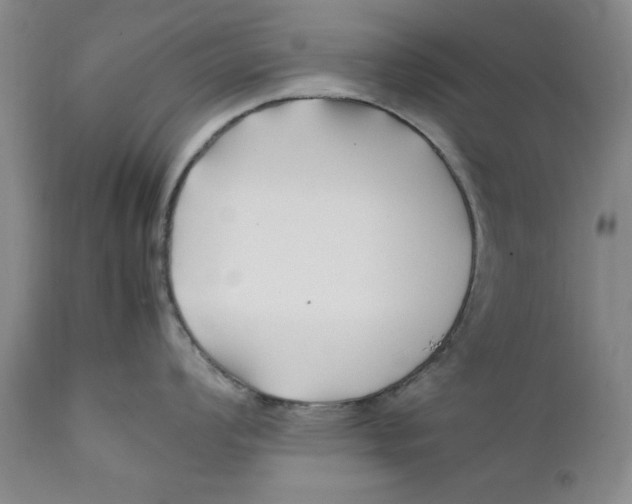 X0000112371008200909101317
