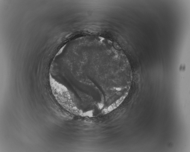 X0000112371009200909101316