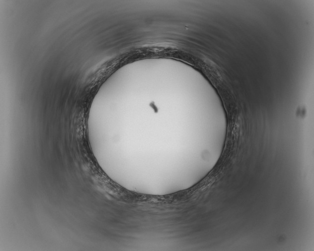 X0000112371014200909101316
