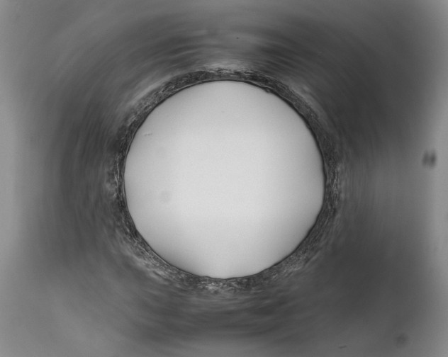 X0000112371015200909101316