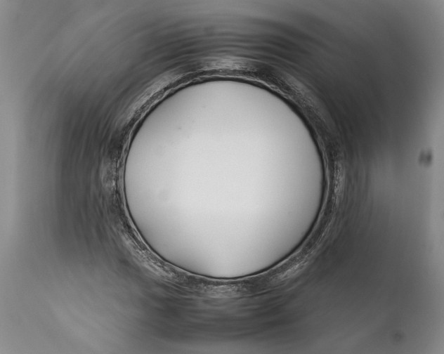 X0000112371017200909101316
