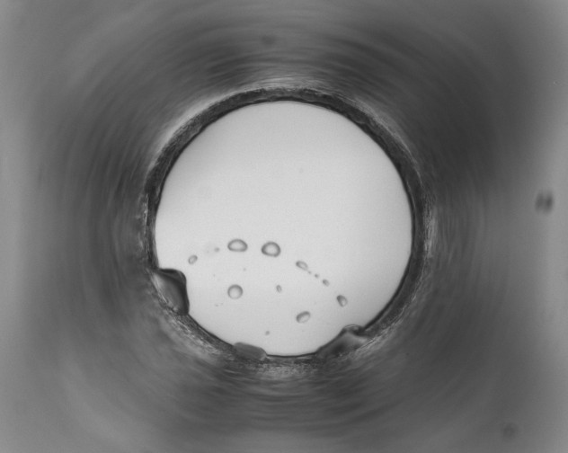 X0000112371021200909101316