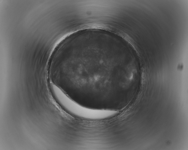 X0000112371024200909101316