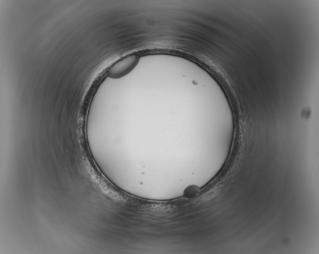 X0000112371029200909101316