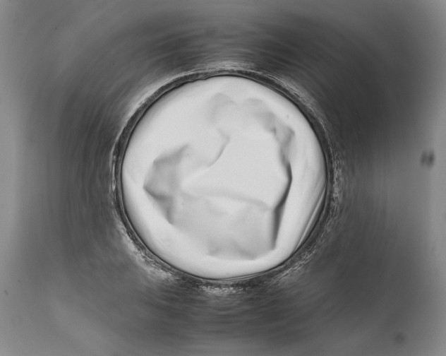 X0000112371031200909101316