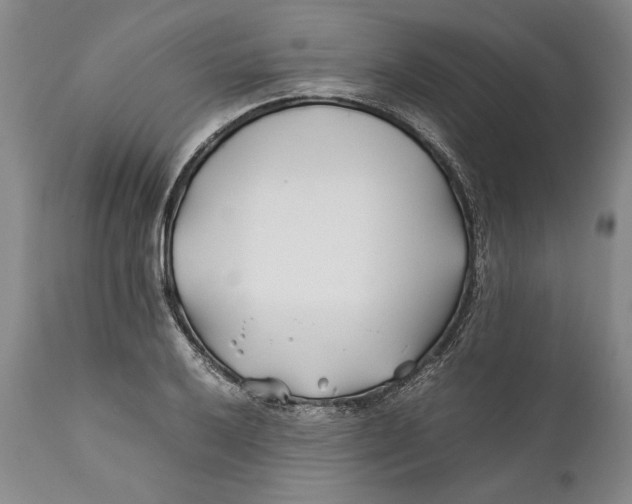 X0000112371032200909101316