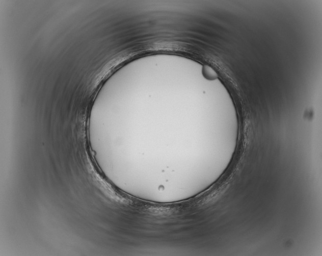 X0000112371033200909101316