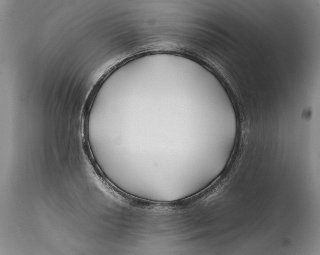 X0000112371034200909101316