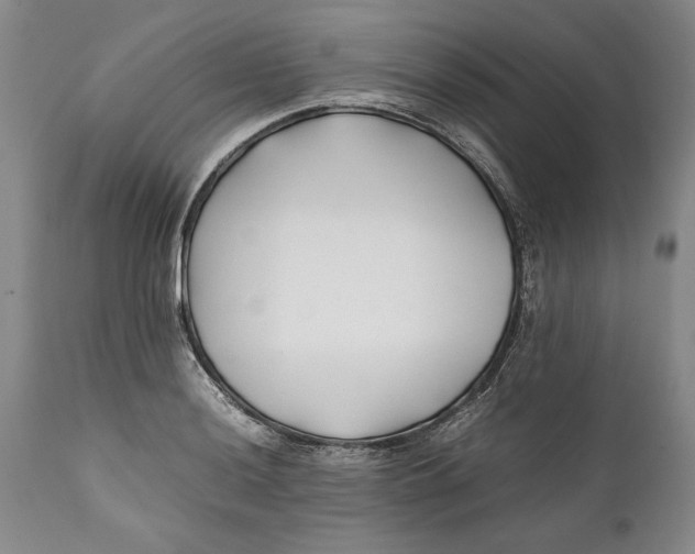 X0000112371036200909101316