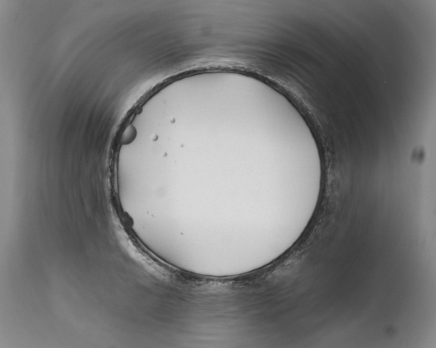 X0000112371038200909101316