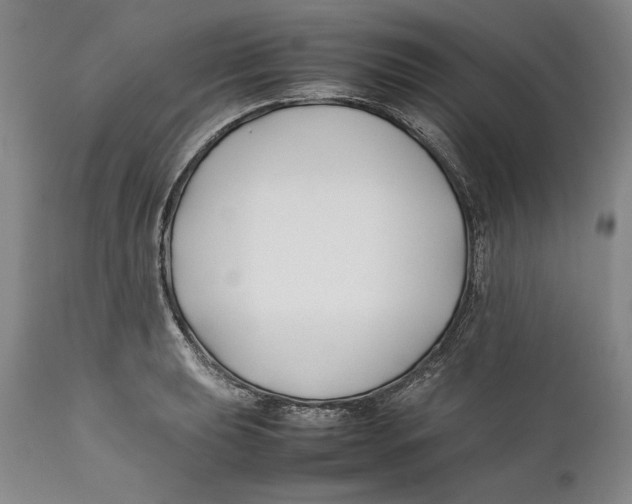 X0000112371039200909101316