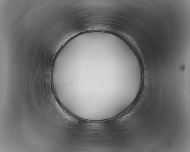X0000112371041200909101316