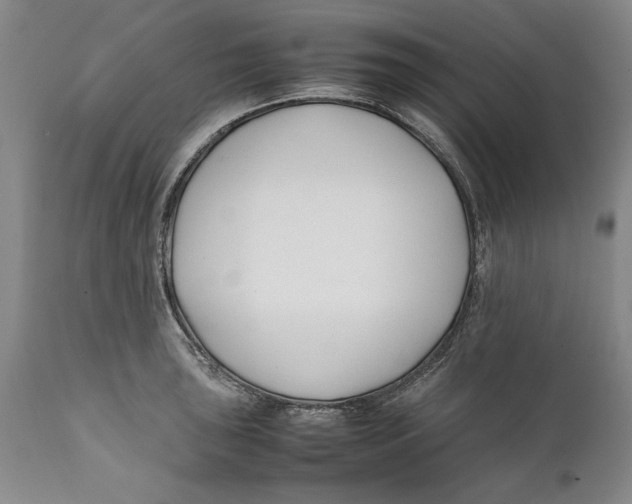 X0000112371043200909101316