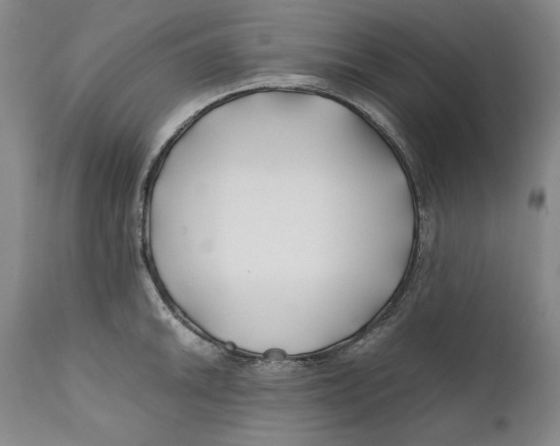 X0000112371046200909101316