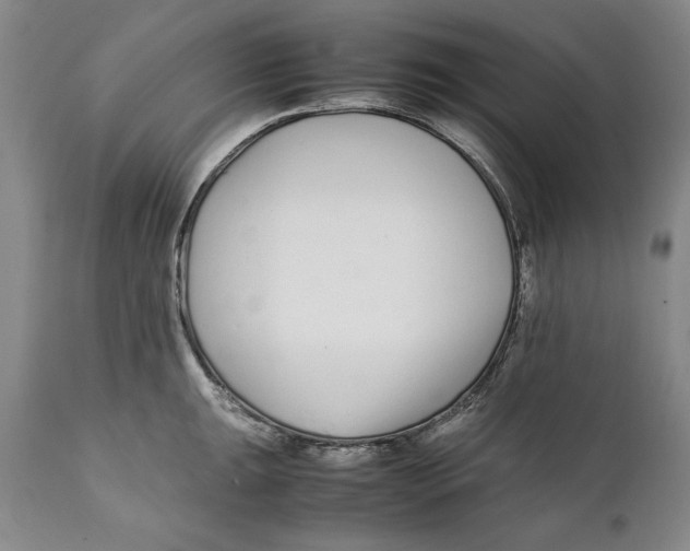X0000112371047200909101316