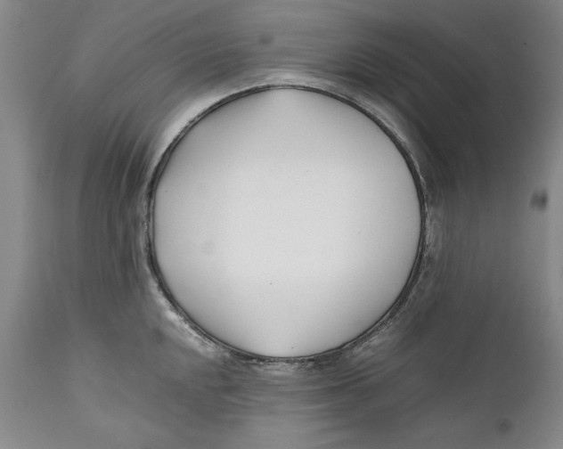 X0000112371048200909101316