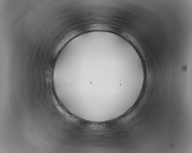 X0000112371049200909101317
