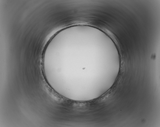 X0000112371051200909101317