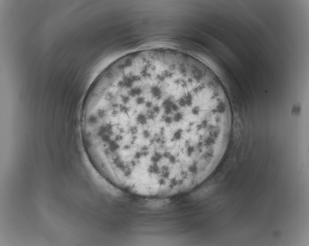 X0000112371055200909101317