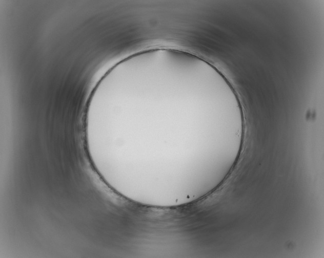 X0000112371056200909101317