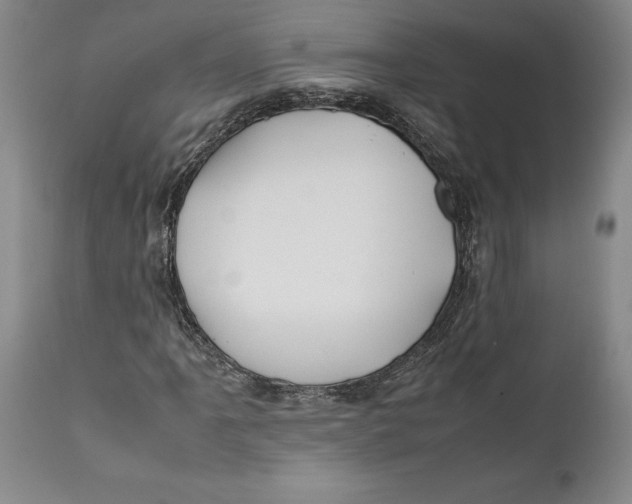 X0000112371061200909101316
