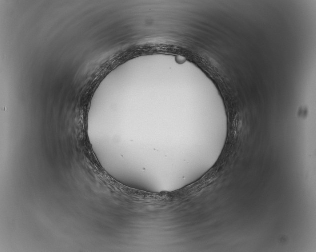 X0000112371062200909101316