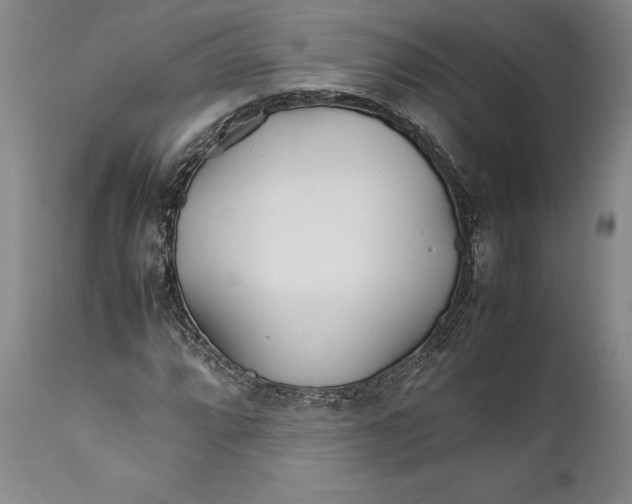 X0000112371064200909101316