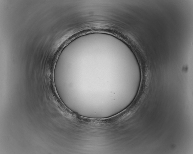 X0000112371065200909101316