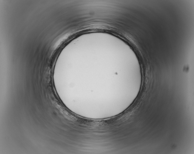 X0000112371067200909101316