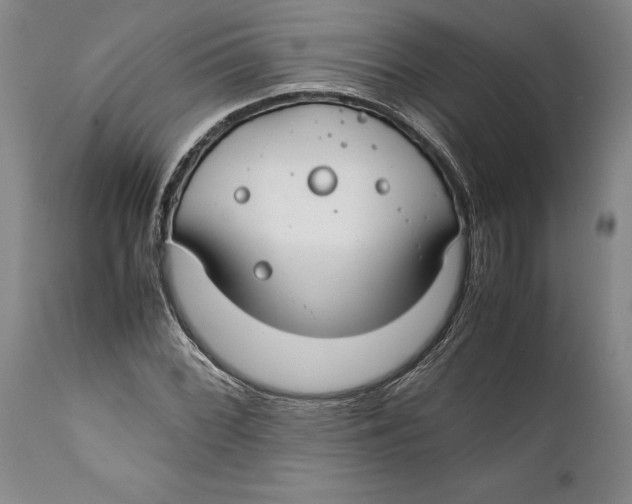X0000112371068200909101316