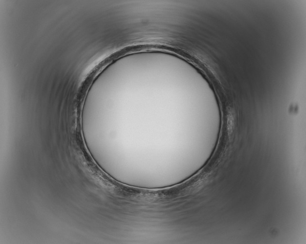 X0000112371069200909101316