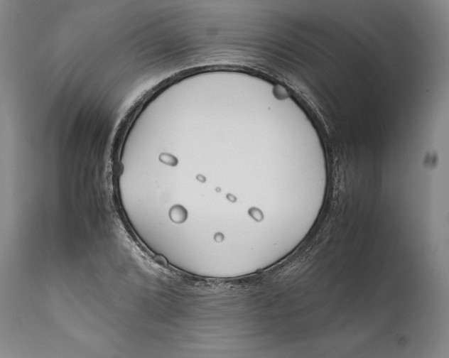 X0000112371072200909101316