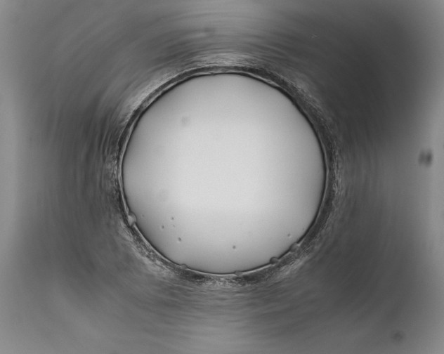 X0000112371073200909101316
