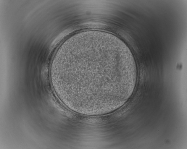 X0000112371074200909101316
