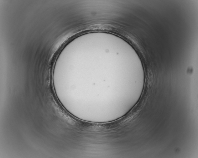 X0000112371075200909101316