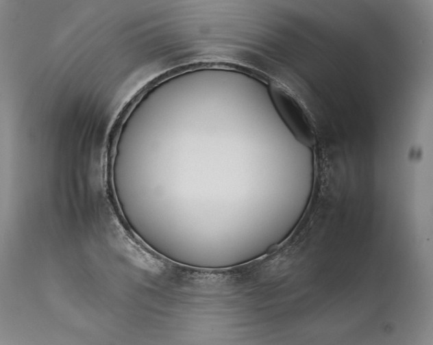 X0000112371076200909101316