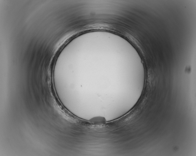X0000112371082200909101316