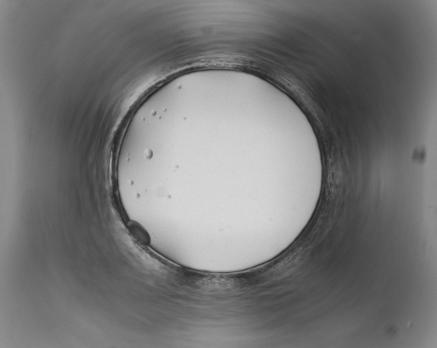 X0000112371083200909101316