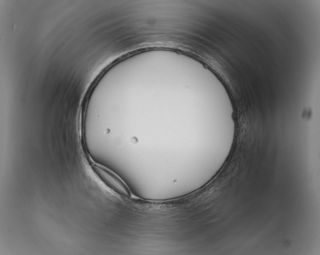 X0000112371084200909101316